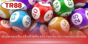 Bí Kíp Soi Cầu Xổ Số Miền Bắc Chuẩn Xác Cho Người Mới
