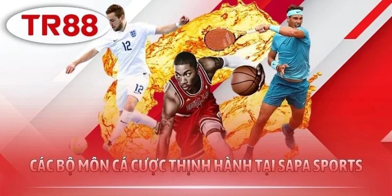 Các bộ môn cá cược thịnh hành tại Sapa Sports