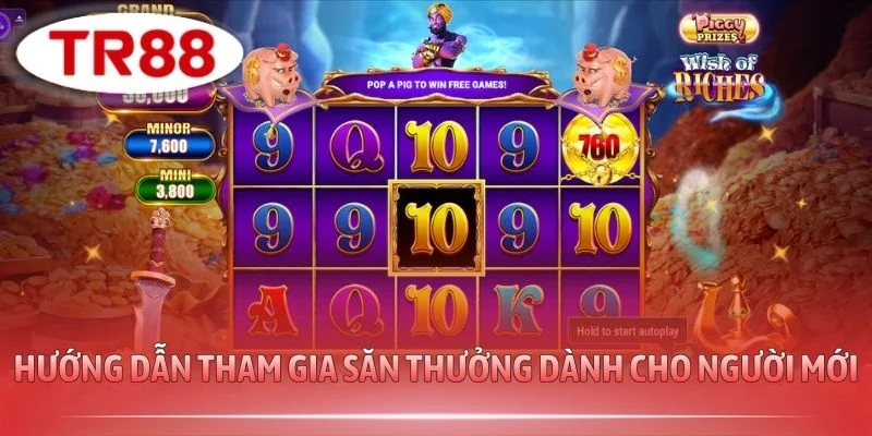 Hướng dẫn tham gia săn thưởng dành cho người mới