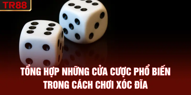 Tổng hợp những cửa cược phổ biến trong cách chơi xóc đĩa